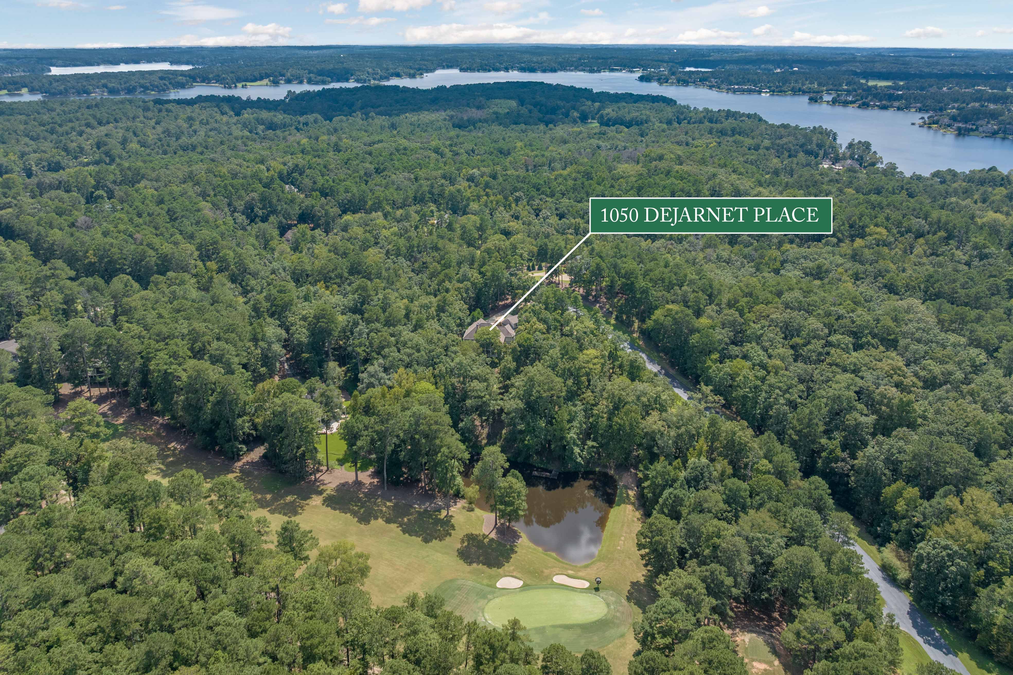 1050 Dejarnet Place image 63